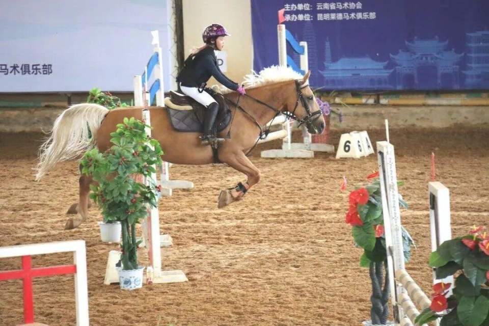 而马在中华, src