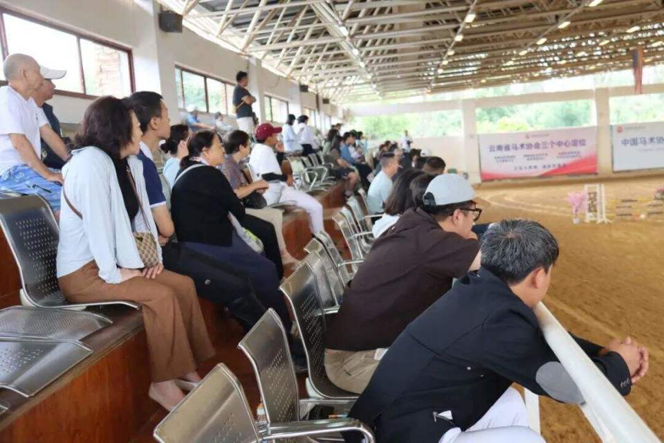 loIsq, 多项马术赛