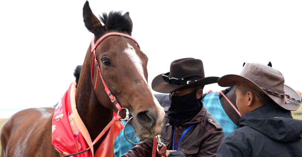 倒淌河镇的, 三名