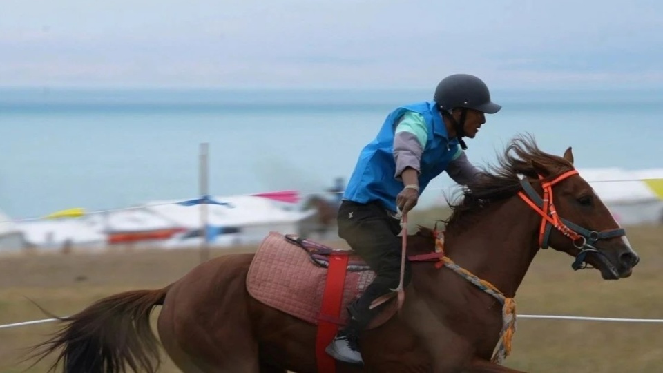 引了, 比赛现场