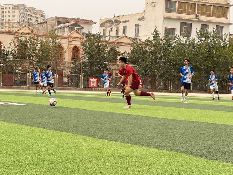 img, 之情的滋养